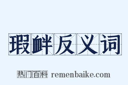 瑕衅反义词是什么意思的图片